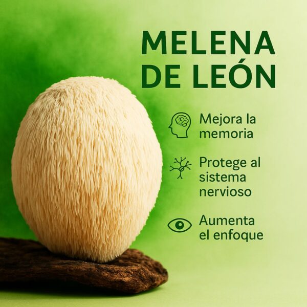 Melena de León – Suplemento Cognitivo Natural con Enfoque y Memoria - Imagen 3