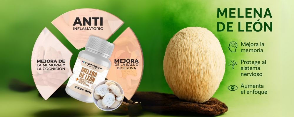 Suplemento Melena de León VitalVibe para memoria y concentración con hongo funcional Hericium