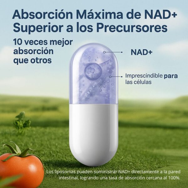 NAD+ Resveratrol Vidanova – Energía Celular y Antioxidantes 60 cápsulas - Imagen 3